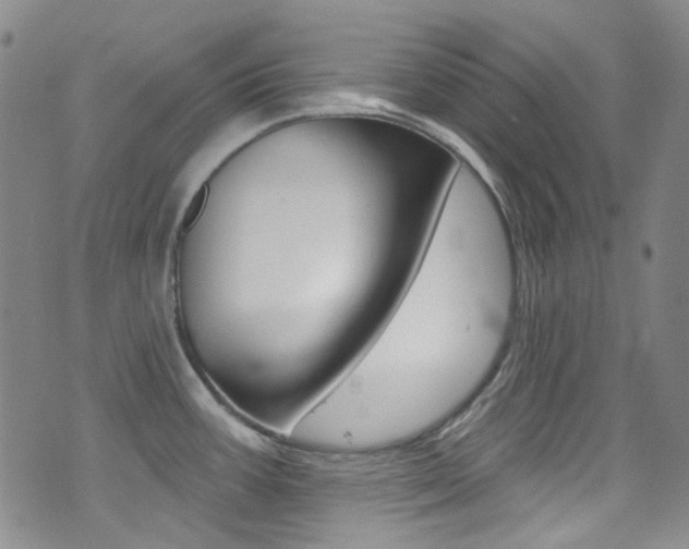 X0000073461387200607281020