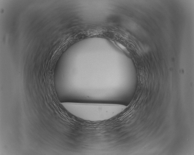 X0000073461393200607281019