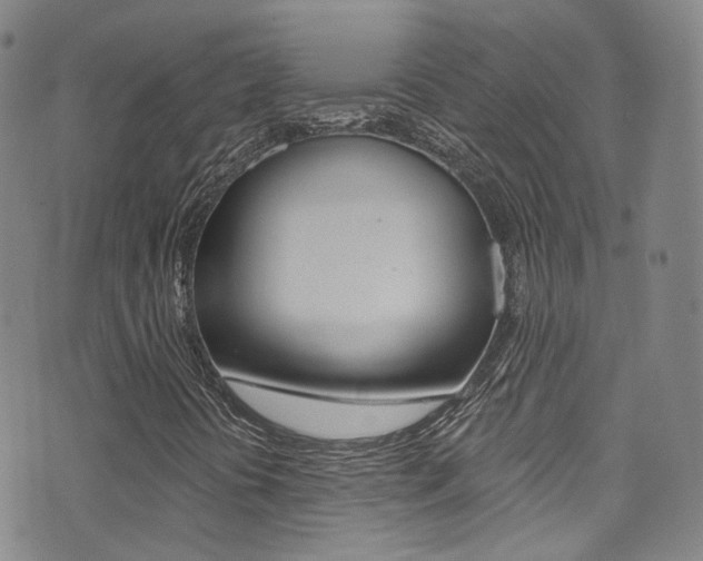 X0000073461394200607281019