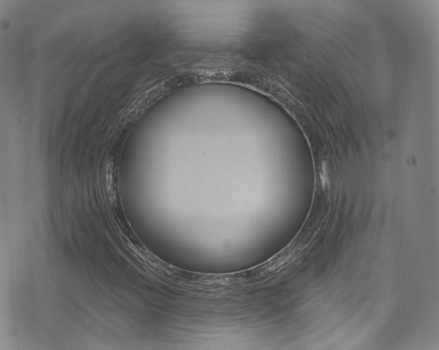 X0000073461396200607281019
