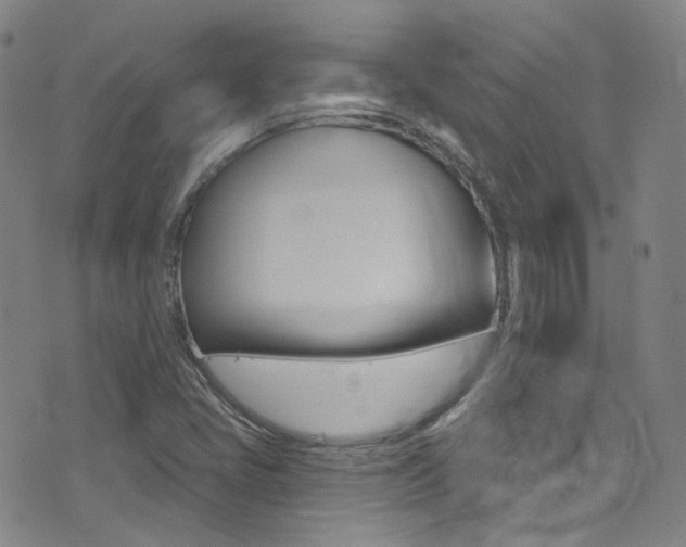 X0000073461405200607281020