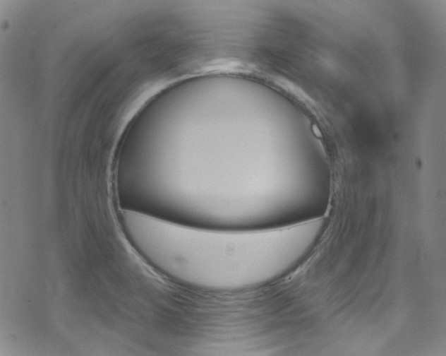 X0000073461423200607281020