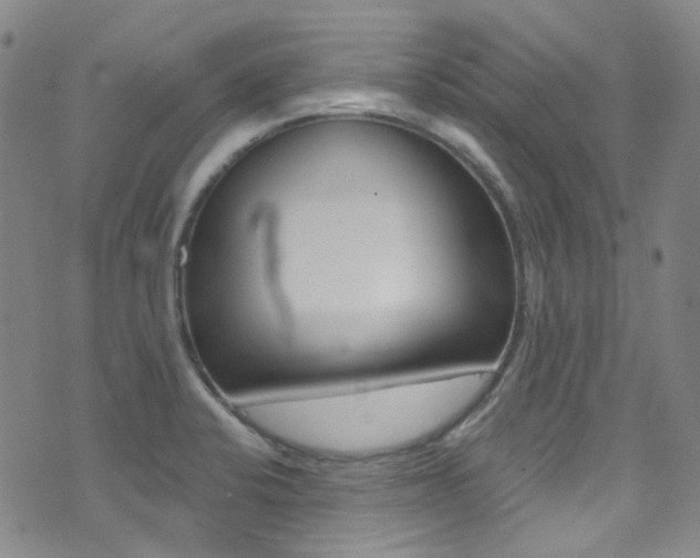 X0000073461424200607281020
