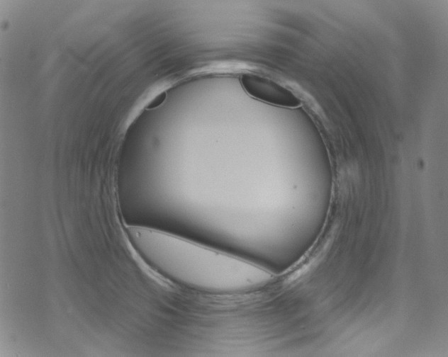 X0000073461425200607281020