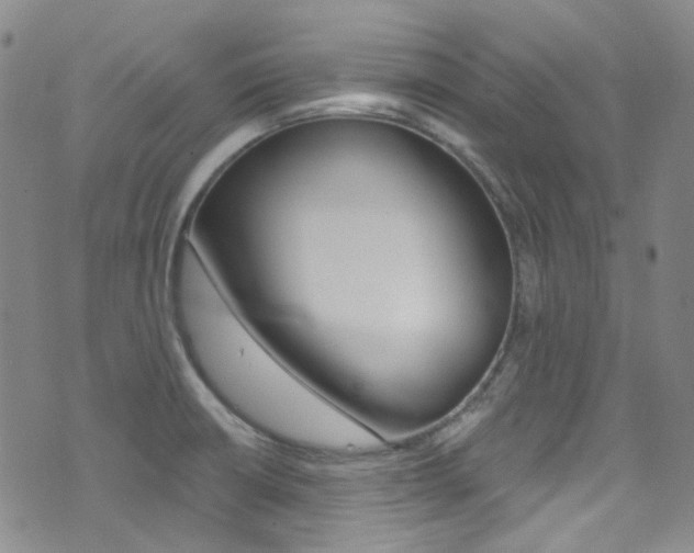 X0000073461426200607281020