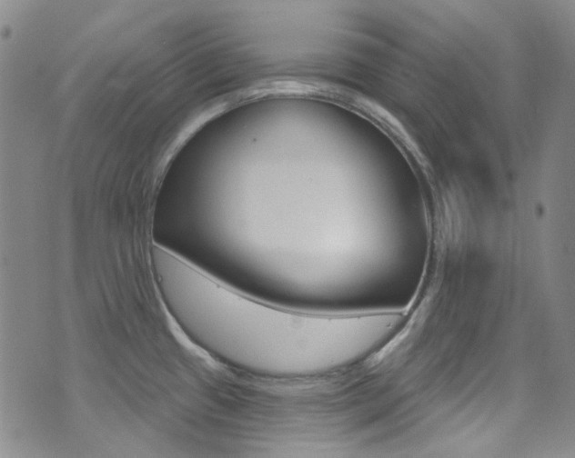 X0000073461433200607281020