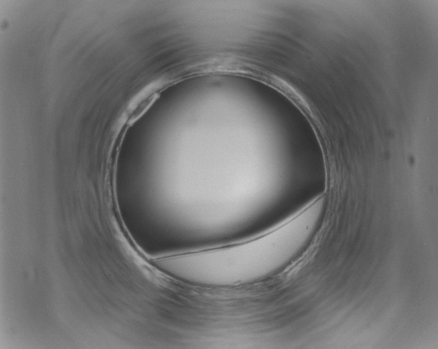 X0000073461434200607281020