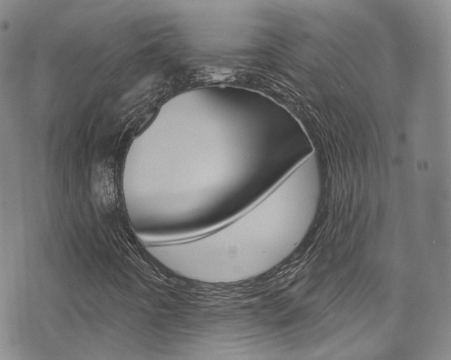 X0000073461442200607281019