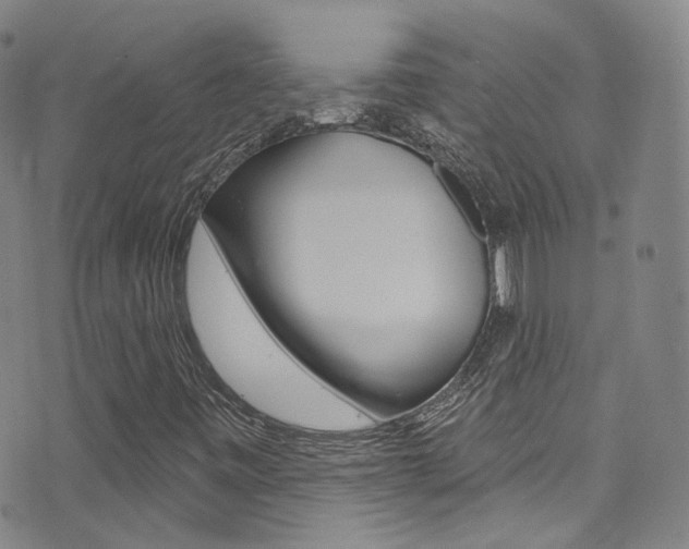 X0000073461443200607281019