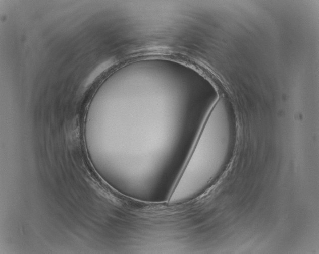 X0000073461450200607281019