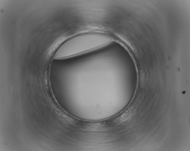 X0000073461455200607281019