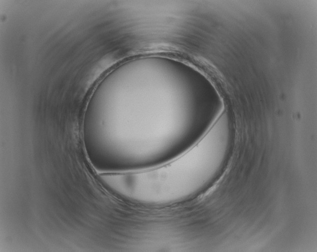 X0000073461457200607281019