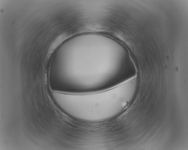 X0000073461459200607281019
