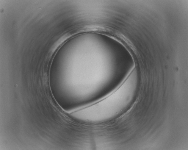X0000073461465200607281019