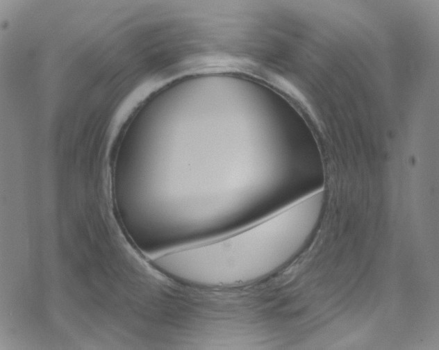 X0000073461472200607281019