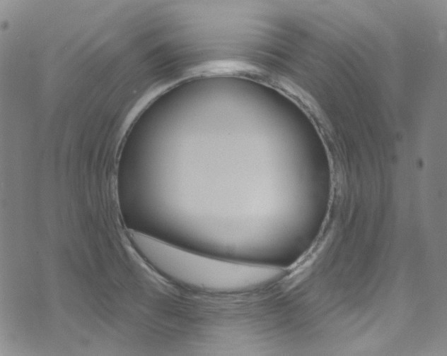 X0000073461473200607281019