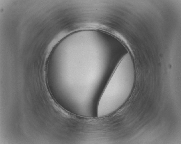 X0000073461480200607281019