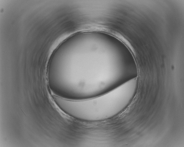 X0000073461485200607281019