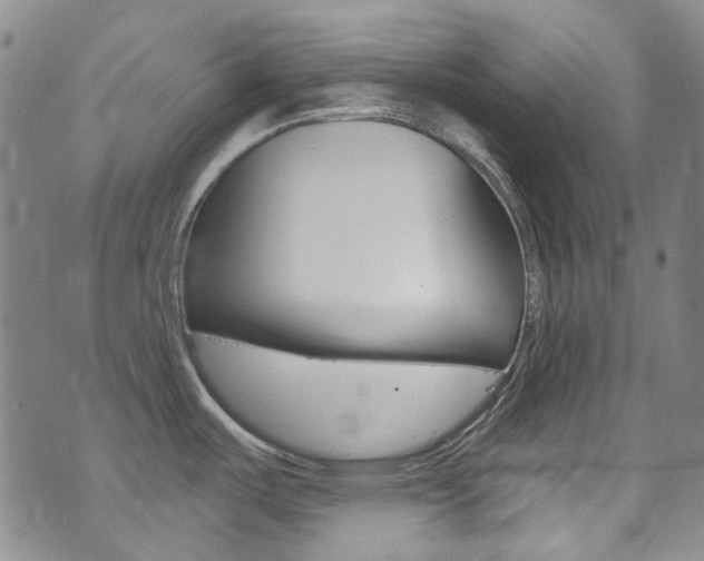 X0000073461487200607281019