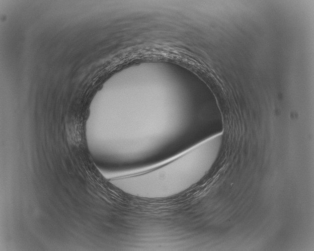 X0000073461490200607281018