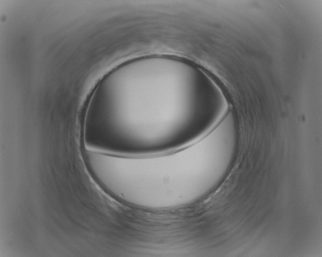 X0000073461508200607281018