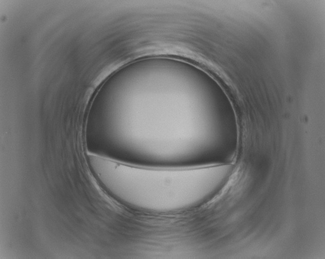 X0000073461513200607281018