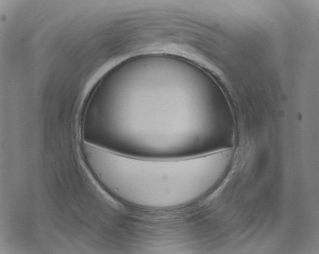 X0000073461517200607281018