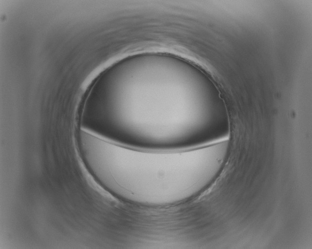 X0000073461518200607281018