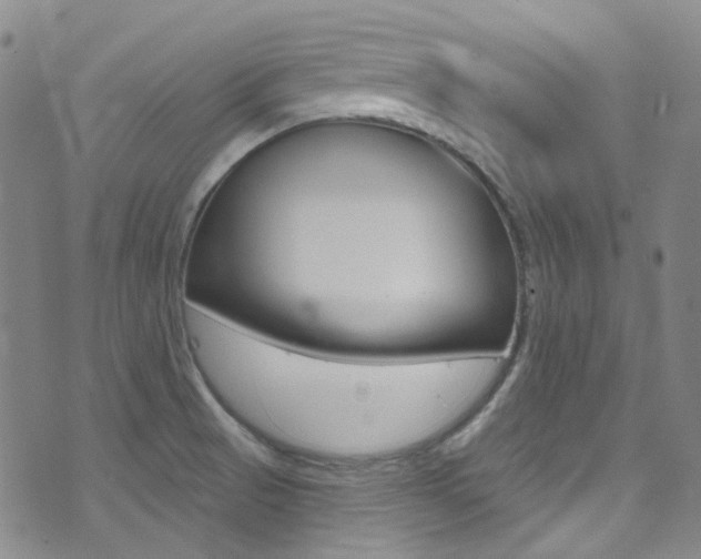 X0000073461521200607281018