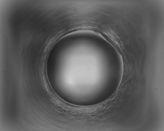 X0000073460001200607281259