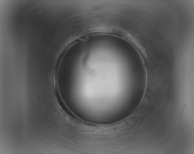 X0000073460011200607281259