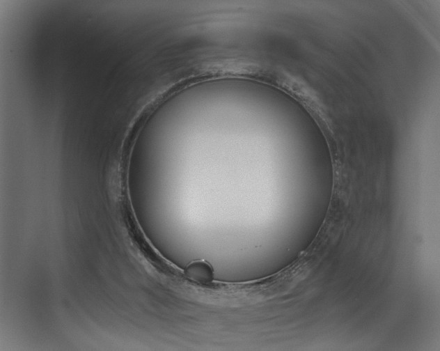 X0000073460012200607281259