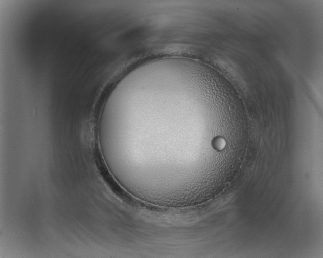 X0000073460016200607281259