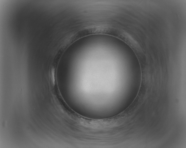 X0000073460022200607281259