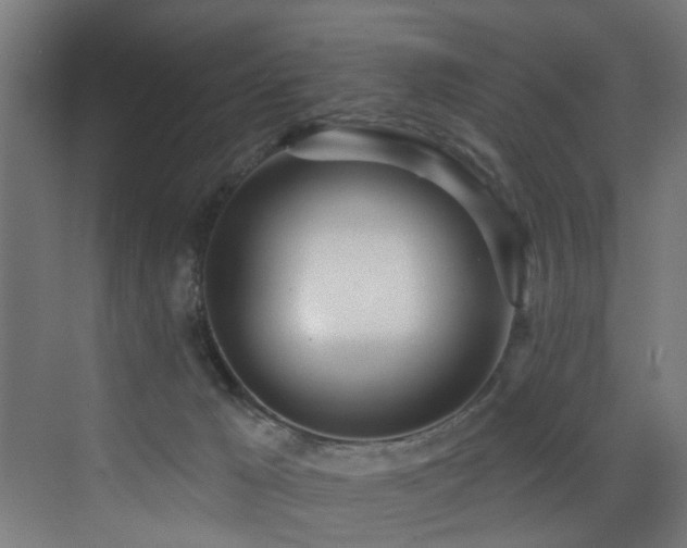 X0000073460029200607281259