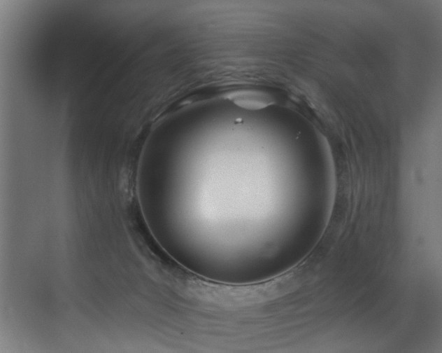 X0000073460031200607281259