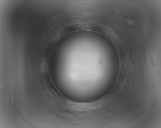 X0000073460034200607281259