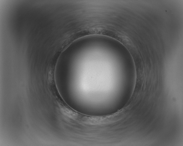 X0000073460037200607281258