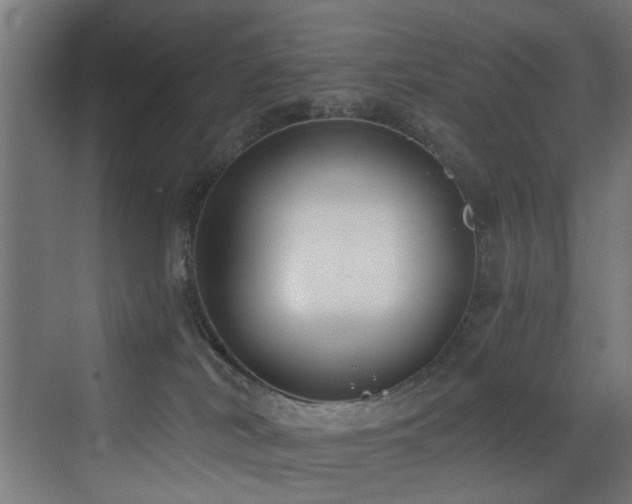 X0000073460038200607281258