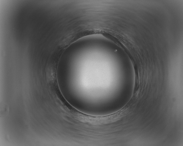 X0000073460039200607281258