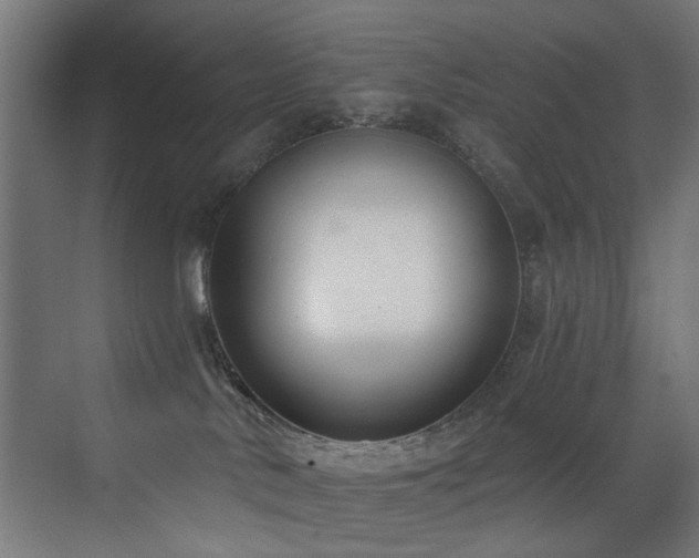 X0000073460042200607281258