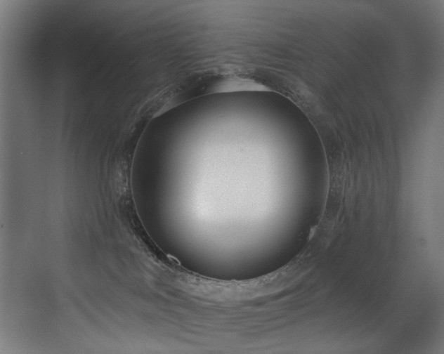 X0000073460043200607281258
