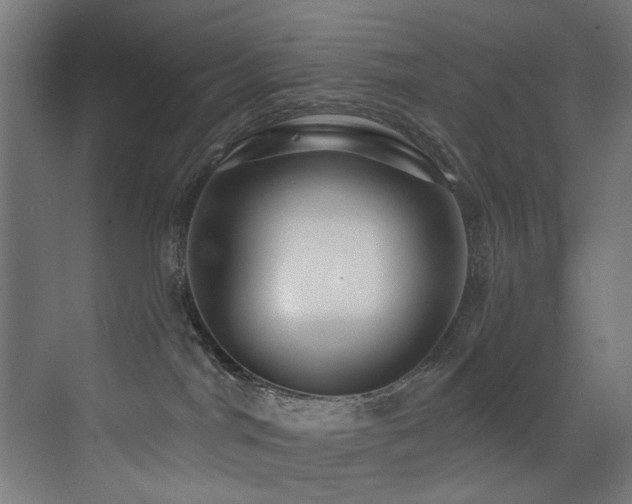 X0000073460044200607281258