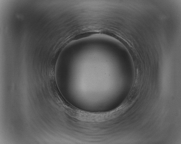 X0000073460048200607281258