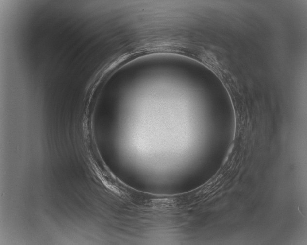 X0000073460050200607281257