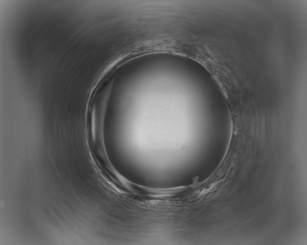 X0000073460052200607281258