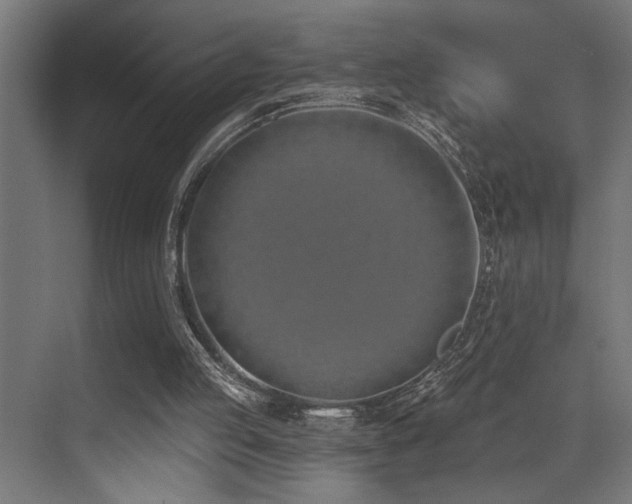 X0000073460053200607281258