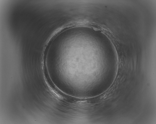 X0000073460054200607281258