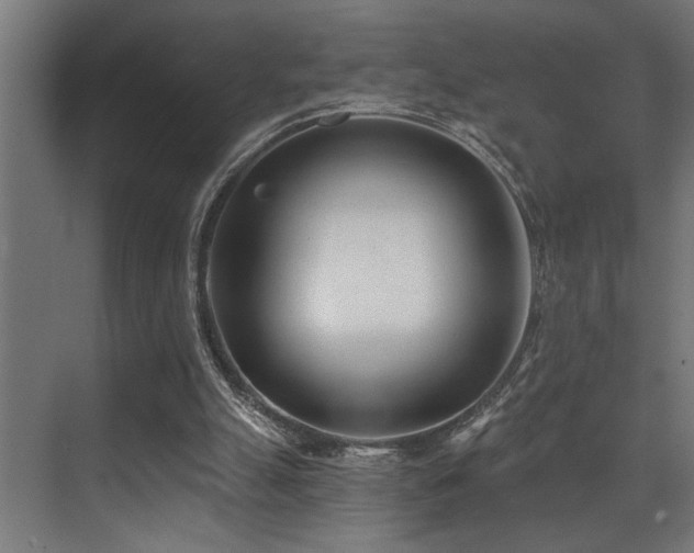 X0000073460055200607281258
