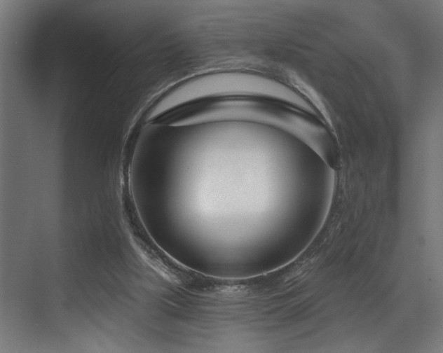 X0000073460059200607281258